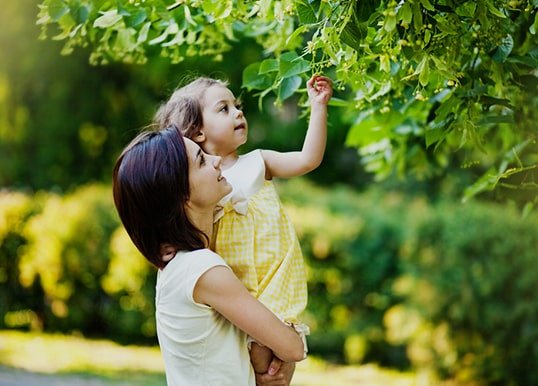 Explore the herbal parks at the luxury residential 4 BHK smart homes of Central Park Clover Floors Explore the herbal parks at the luxury residential 4 BHK smart homes of Central Park Clover Floors